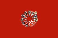 武穴市回收红酒
